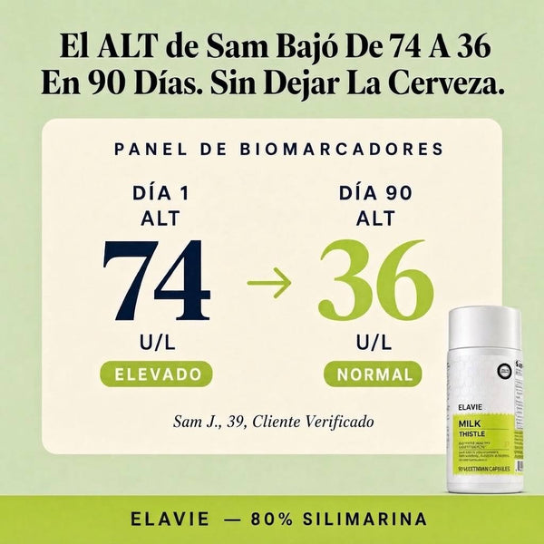 Cardo Mariano Detox Hepático – 80 % Silimarina