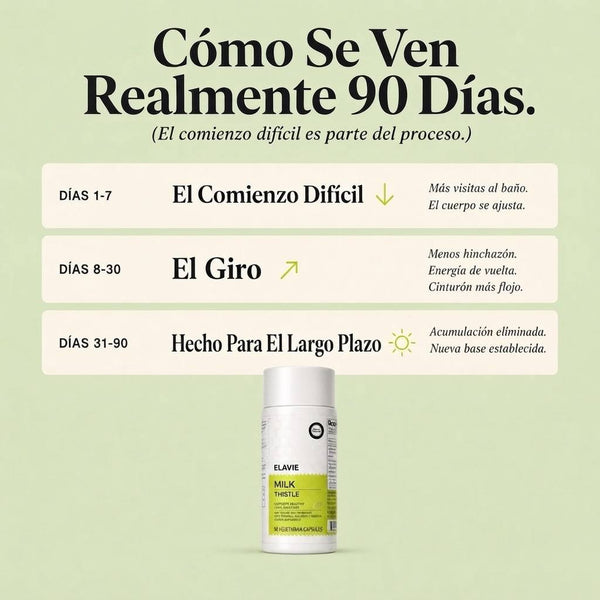 Cardo Mariano Detox Hepático – 80 % Silimarina