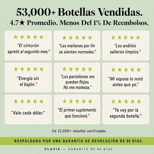 Cardo Mariano Detox Hepático – 80 % Silimarina