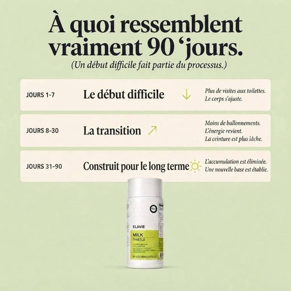 Chardon-Marie Détox du Foie – 80 % Silymarine