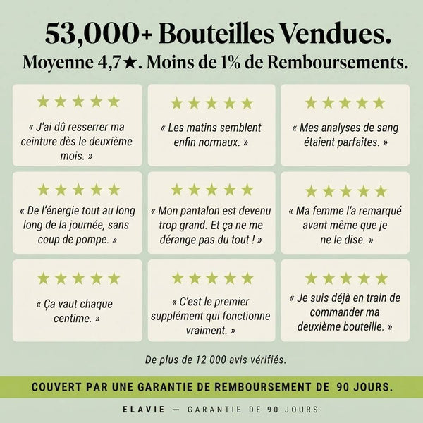 Chardon-Marie Détox du Foie – 80 % Silymarine