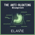 ebook EN - Goodbye Bloating