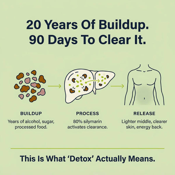 Milk Thistle Liver Detox – 80% Silymarin